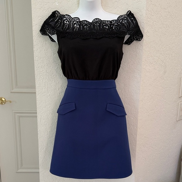Vintage Dresses & Skirts - Chic A-Line Blue Black Dress